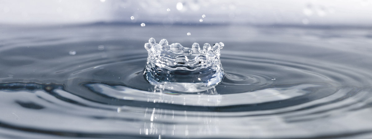 Deluxe Original Vodka - Białoruska wódka klasy premium